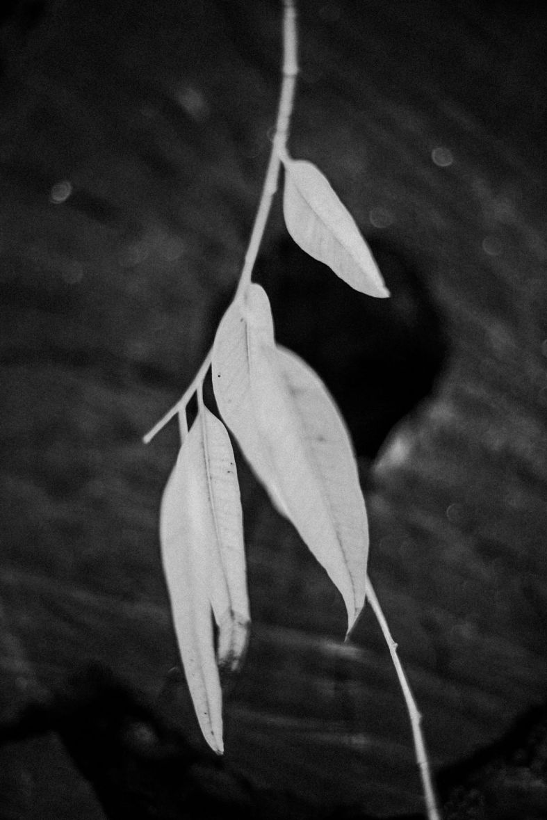 Leggera al vento. Scintilla. Genesi. Amore sconfinato.